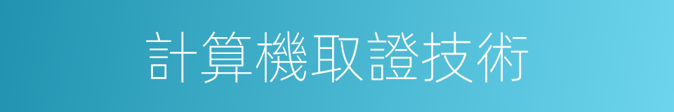 計算機取證技術的同義詞