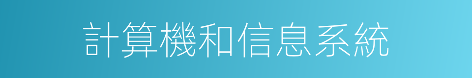 計算機和信息系統的同義詞