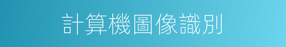 計算機圖像識別的同義詞