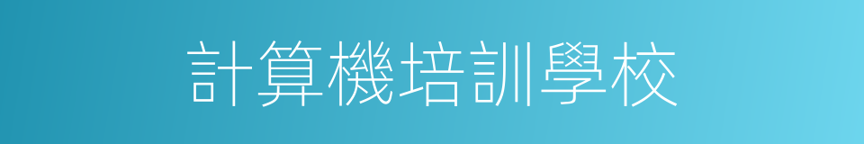 計算機培訓學校的同義詞