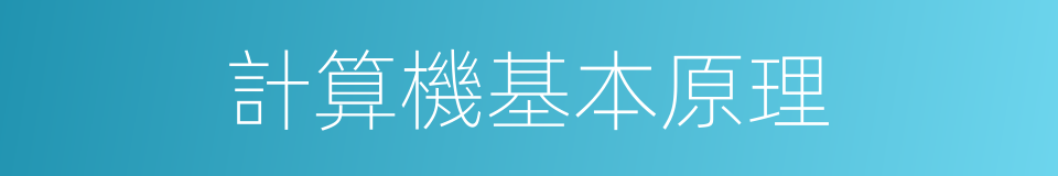 計算機基本原理的同義詞