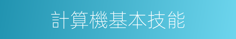 計算機基本技能的同義詞