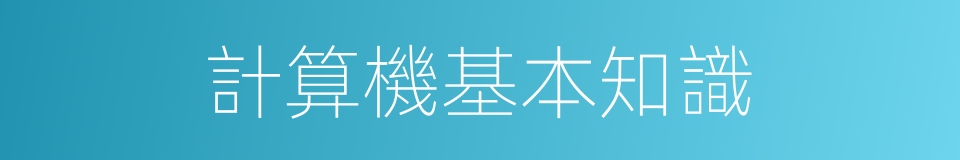 計算機基本知識的同義詞