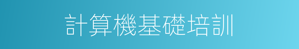 計算機基礎培訓的同義詞