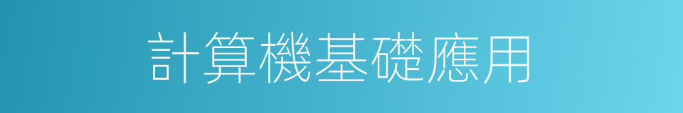 計算機基礎應用的同義詞