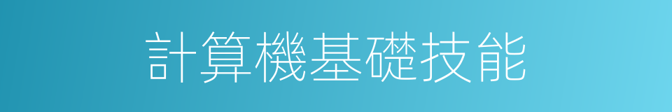 計算機基礎技能的同義詞