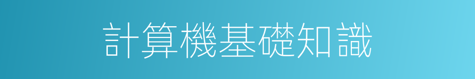 計算機基礎知識的同義詞