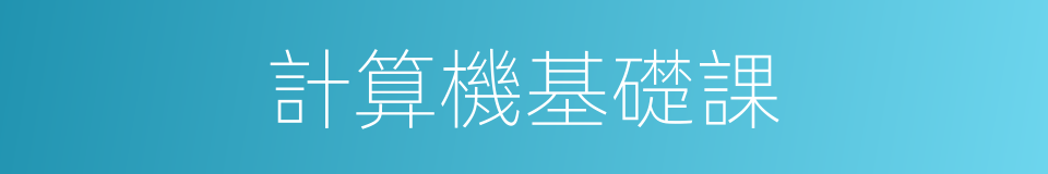 計算機基礎課的同義詞