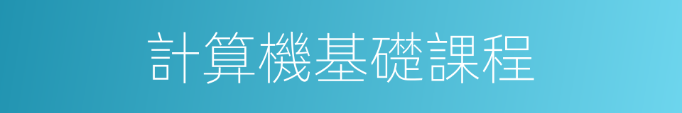 計算機基礎課程的同義詞