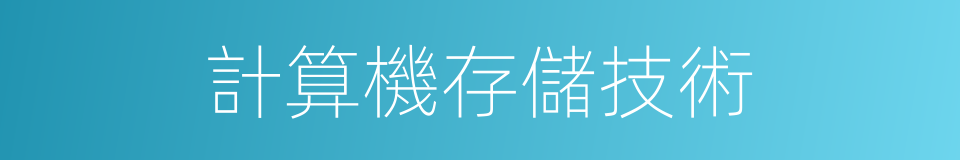 計算機存儲技術的同義詞