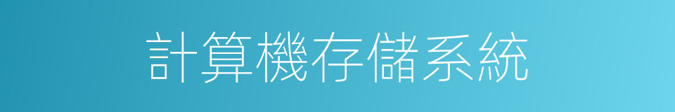 計算機存儲系統的同義詞