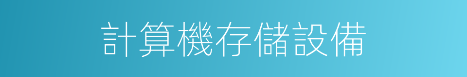 計算機存儲設備的同義詞