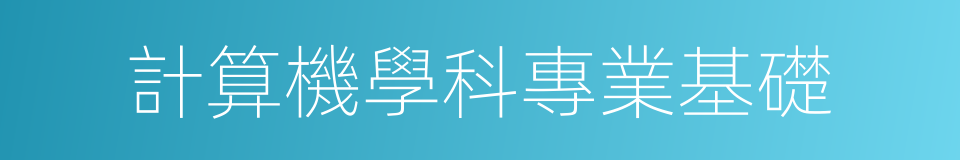 計算機學科專業基礎的同義詞