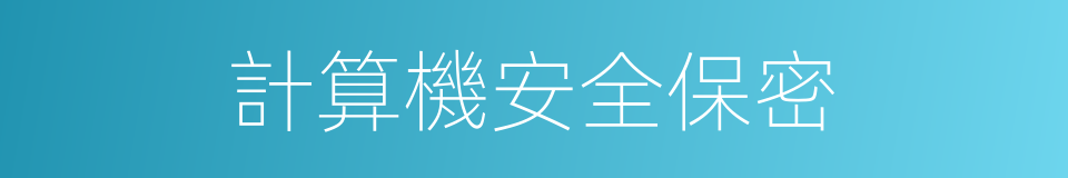 計算機安全保密的同義詞