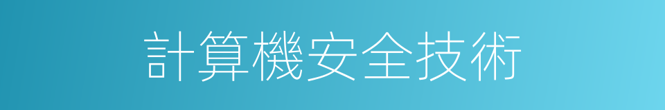 計算機安全技術的同義詞