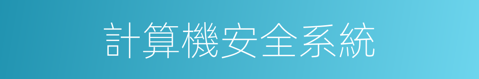 計算機安全系統的同義詞