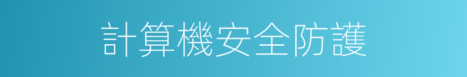 計算機安全防護的同義詞