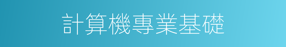 計算機專業基礎的同義詞