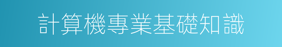 計算機專業基礎知識的同義詞