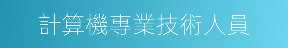 計算機專業技術人員的同義詞