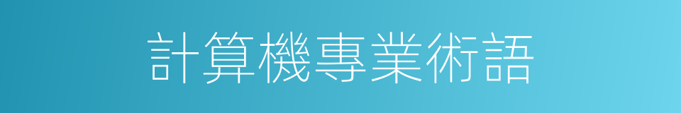 計算機專業術語的同義詞