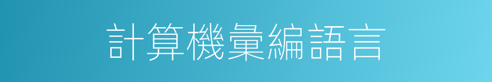 計算機彙編語言的同義詞