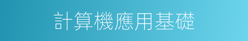 計算機應用基礎的意思