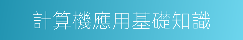 計算機應用基礎知識的同義詞