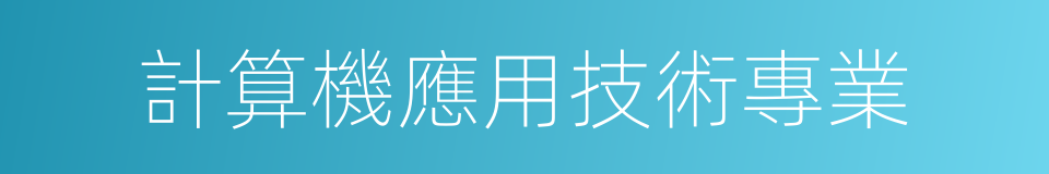 計算機應用技術專業的同義詞