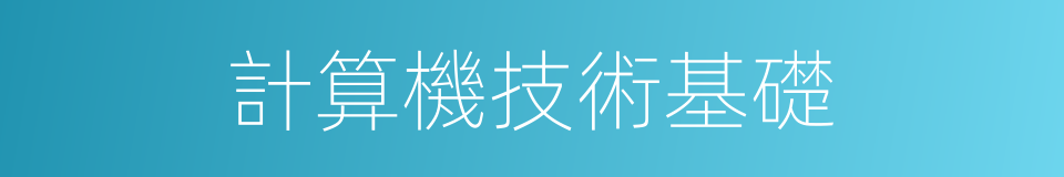 計算機技術基礎的同義詞