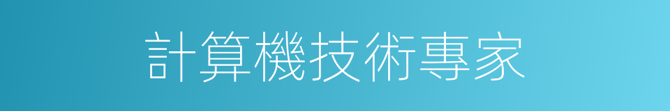 計算機技術專家的同義詞