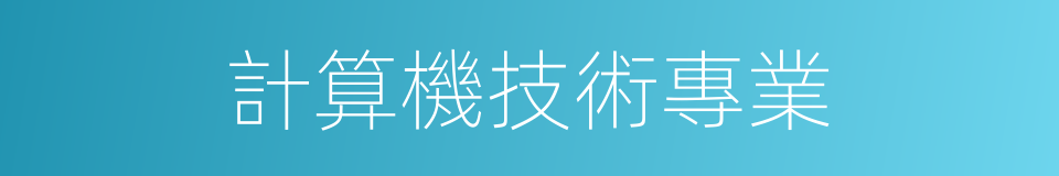 計算機技術專業的同義詞