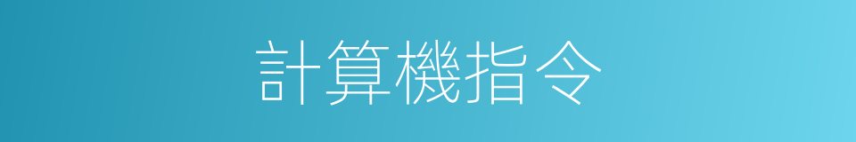 計算機指令的同義詞