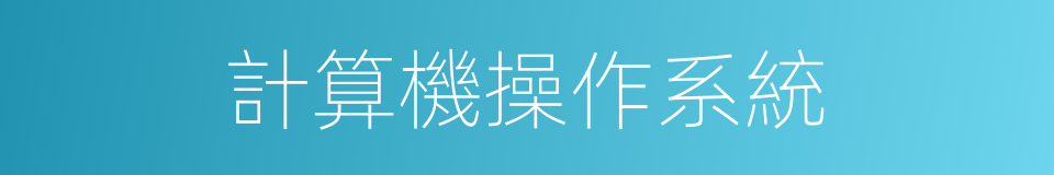 計算機操作系統的同義詞