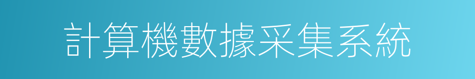 計算機數據采集系統的同義詞