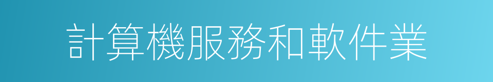 計算機服務和軟件業的同義詞