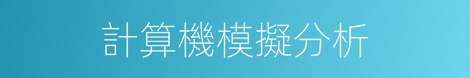 計算機模擬分析的同義詞