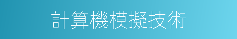 計算機模擬技術的同義詞