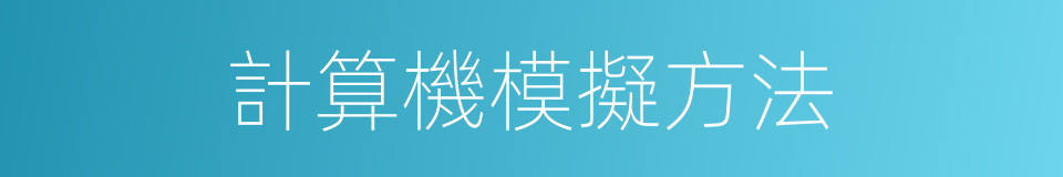 計算機模擬方法的同義詞