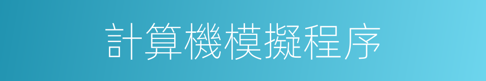 計算機模擬程序的同義詞