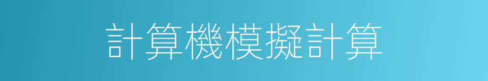 計算機模擬計算的同義詞