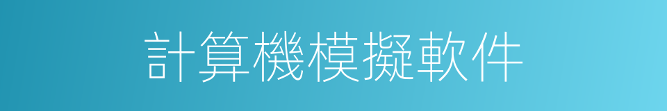 計算機模擬軟件的同義詞