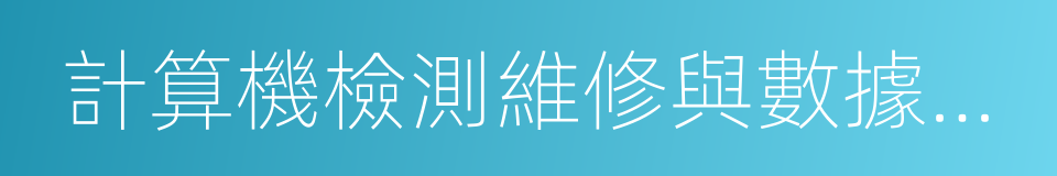 計算機檢測維修與數據恢復的同義詞