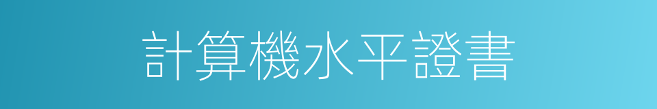 計算機水平證書的同義詞