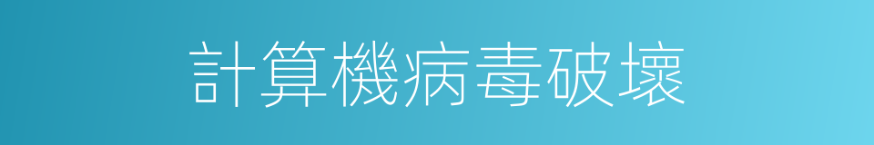 計算機病毒破壞的同義詞