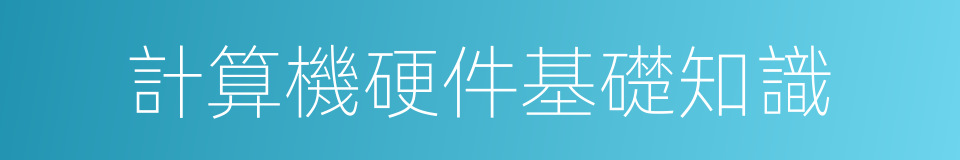 計算機硬件基礎知識的同義詞