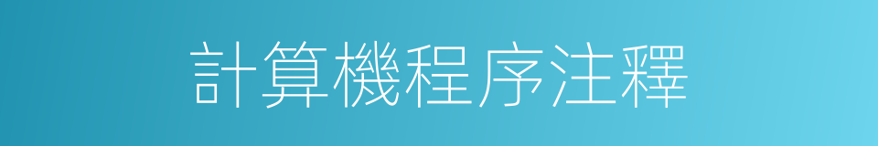 計算機程序注釋的意思
