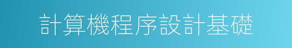 計算機程序設計基礎的意思