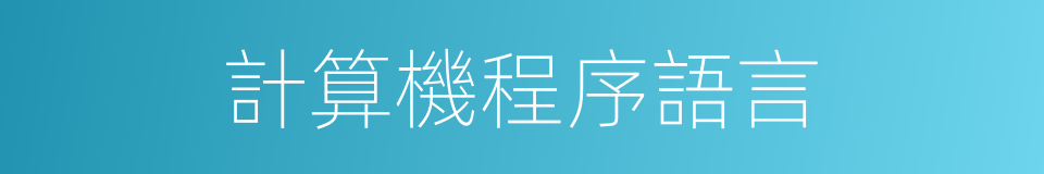 計算機程序語言的同義詞