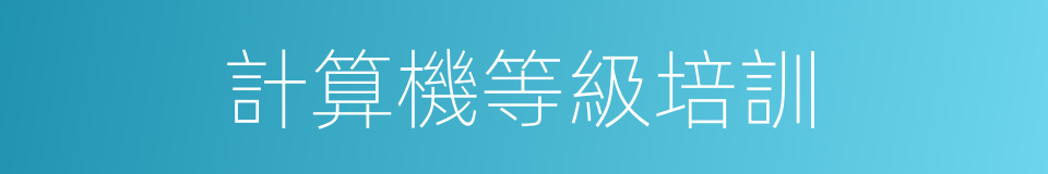 計算機等級培訓的同義詞